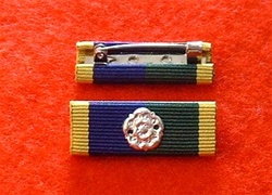 Territorial Efficiency Rosette Medal Ribbon Bar Pin