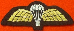 PARA Badge