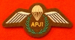 Uniform APJI Wings ( Assistant Parachute Jump Instructor Wings )