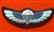SAS Wings ( Special Air Service Wings )