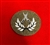 Infantry Platoon Sergeant Battle Course Advanced Skill at Arms Badge