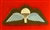 Uniform PARA Wings