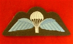Uniform PARA Wings