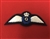 High Quality RAF G Reserve Pilot Glider Wings Badge