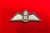 High Quality RAF Pilot Combat Wings King's Crown MTP Patch with Hook & Loop Option
