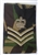 RAF Flight Sergeant Combat Rank Slide ( Royal Air Force Flight SGT Slide )