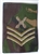 RAF Chief Tech Combat DPM Slide ( Royal Air Force Chief Technicians Rank Slide )