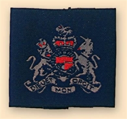 Pair of RAF Blue Warrant Officers Rank Slides ( RAF WO`S Badges )