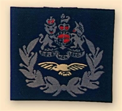 Pair of RAF Blue Master Aircrew Rank Slides