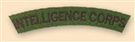 Re-Enactors Intelligence Corps Shoulder Title ( Reenactors IC Badges )