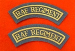 Pair of RAF Regiment Mud Guards Mess Dress Badges