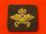RAF Physical Training Instructor Mess Dress Badge ( RAF PTI Mess Dress Badge )