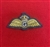 Royal Air Force Glider Pilot Wing King's Crown Gold Bullion Mess Dress Badge