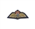 Quality RAF Royal Air Force VR Volunteer Reserve Gold Bullion Mess Dress Wings