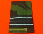 RAF Flight Lieutenant Combat 95 Rank Slide