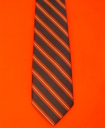 Quality The Royal Anglian Regimental Tie Royal Anglian Regiment Tie RAR Tie