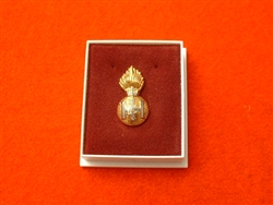 Quality The Royal Highland Fusiliers Boxed Lapel Badge ( TRHF Boxed Lapel Badge )