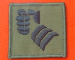 7th Armoured Brigade Combat TRF Badge
