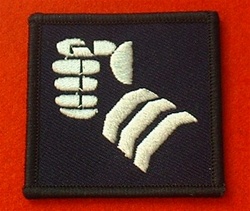 20th Armoured Brigade Combat TRF Badge