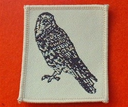15 North East Brigade Combat TRF Badge Desert