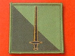 42nd North West Brigade Combat TRF Badge Subdued