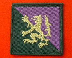 51 Scottish Brigade Combat TRF Badge