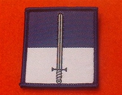 16 Signal Regiment TRF ( Signals Tactical Recognition Flash )