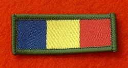 Royal Electrical Mechanical Engineer`s Tactical Recognition Combat Flash ( REME TRF Combat Flash )