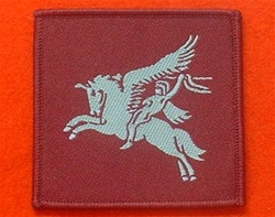 Pegasus Combat TRF Badge