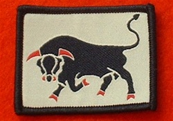 11 Brigade TRF Combat Badge