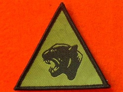 19 Mechanized Brigade Combat TRF Badge Subdued