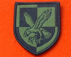 16 Air Assault Brigade Combat TRF Badge Subdued