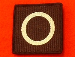 6 Division TRF ( 6 Division Combat Tactical Recognition Flash )