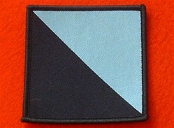 Royal Irish Combat TRF Badge ( RI Combat TRF Badge )