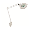 Paragon Magnifying Lamp with Table Clamp - Professional Spa Products | Terry Binns Catalog