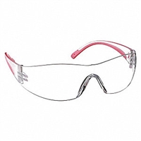 Lady Eva Protective Eyewear Glasses with 1.00 Bifocal | Terry Binns Catalog