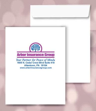 6 x 9 Catalog Envelopes, 2 PMS color print, # 20020PMS2