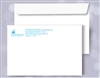 10 x 13 Booklet Envelopes, 1 PMS color print, #30060PMS