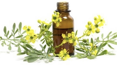 Litsea Cubeba Essential Oil (May Chang)