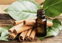 Cinnamon Leaf Essential Oil