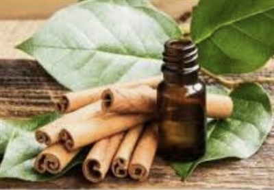 Cinnamon Leaf Essential Oil