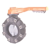 2" BUTTERFLY VALVE WITH CPVC BODY LUGGED CPVC DISC VITON LINER FPM SEALS HAND LEVER OPERATED FITTING