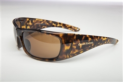 Biscayne Tortoise Sunglasses