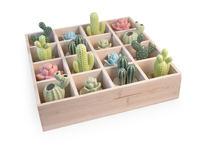 Cactus Crate