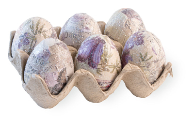 Purple Majesty Eggs in Carton