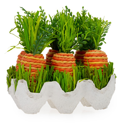 Striped Carrots In Grass & Carton