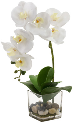 White Orchid Glass Pot