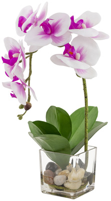 Pink & White Orchid Glass Pot