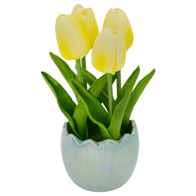 Yellow Tulips in Blue Egg Pot