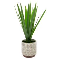 Medium Snake Plant Geometric Pot